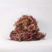 Wildcrafted Purple Seamoss Bulk (5lbs)