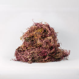 Wildcrafted Purple Seamoss Bulk (5lbs)