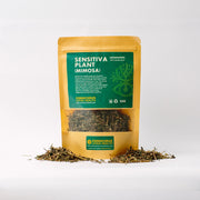 Mimosa (Sensitiva Plant)